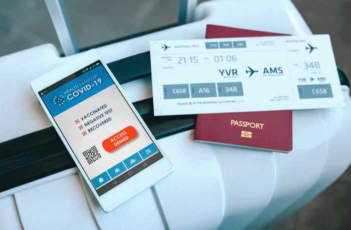 Documents-de-voyage-durant-covid Documents de voyage , test pcr, passeport