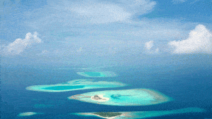 Île des Maldives 