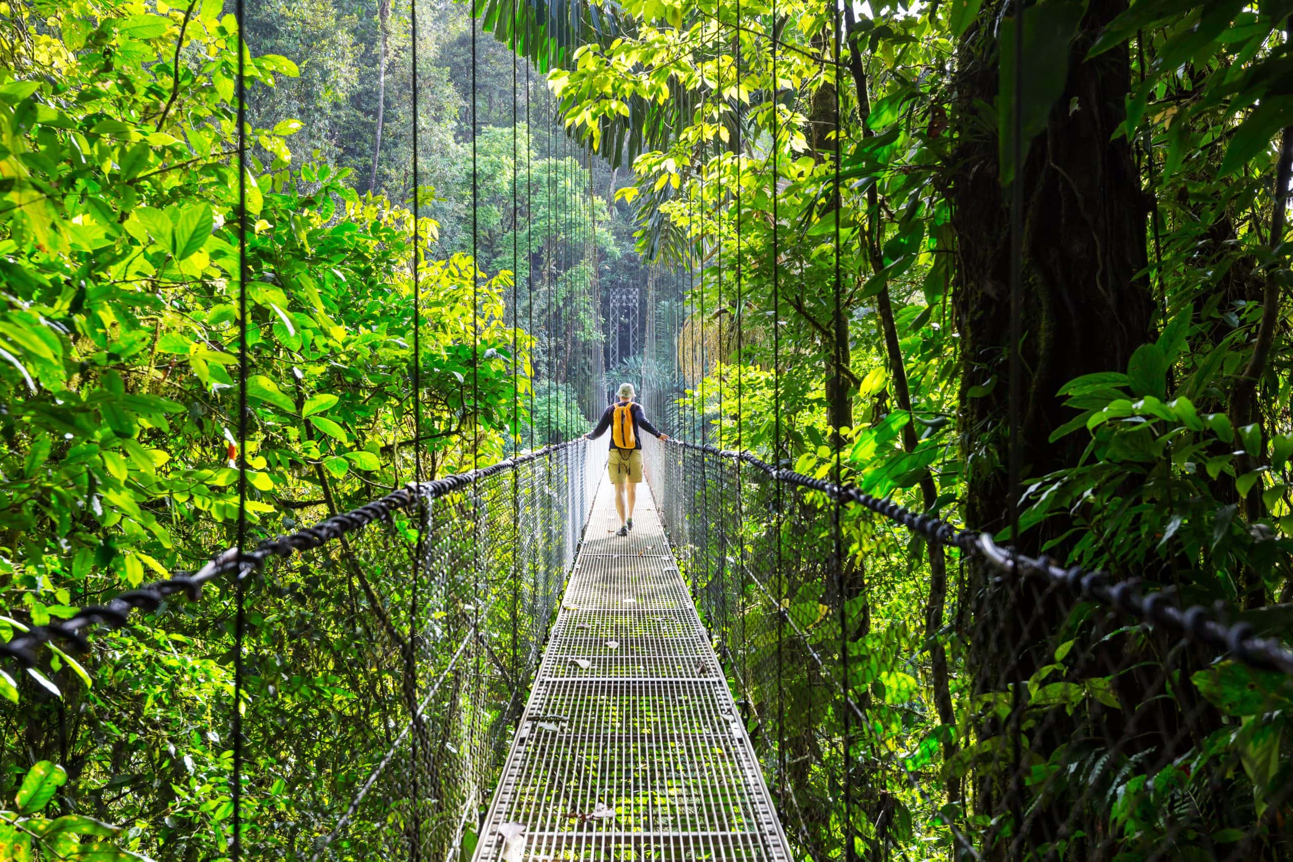 pont costa rica homme sur un pont suspendu au milieu de la jungle